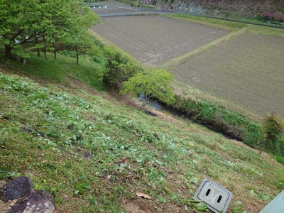 20260503-002.jpg