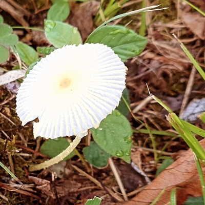 20260908-0800.jpg