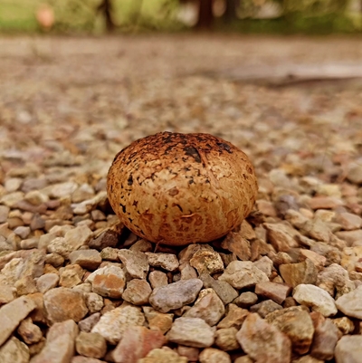 20260920-1444.jpg