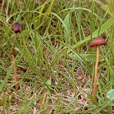 20260920-1703.jpg