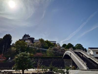fukuchiyama-castle01.jpg
