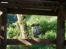 20080916koya010.jpg