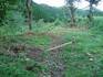 20080919koya015.jpg