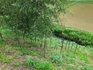 20250613-01.jpg