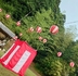 20250817-05.jpg
