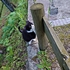 20260424-004.jpg