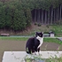 20260424-008.jpg