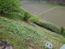 20260503-002.jpg