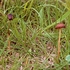 20260920-1703.jpg
