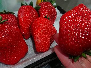 20210103_strawberry.jpg
